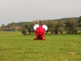 Rattey_2014_081