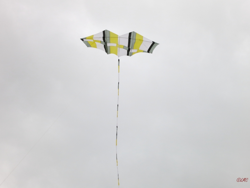 Roemoe_2014_004