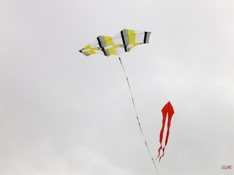 Roemoe_2014_005