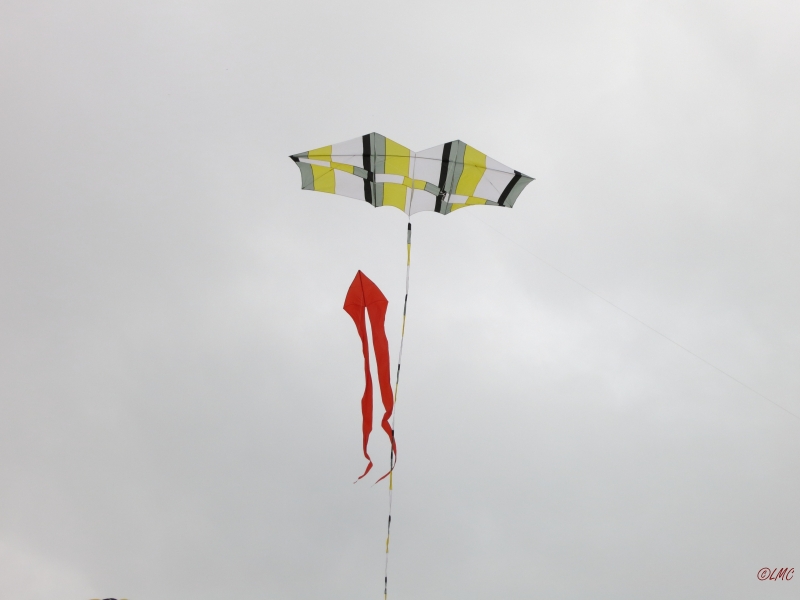 Roemoe_2014_006