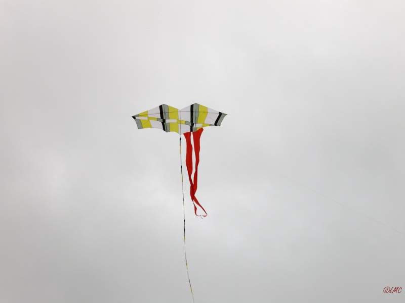 Roemoe_2014_007
