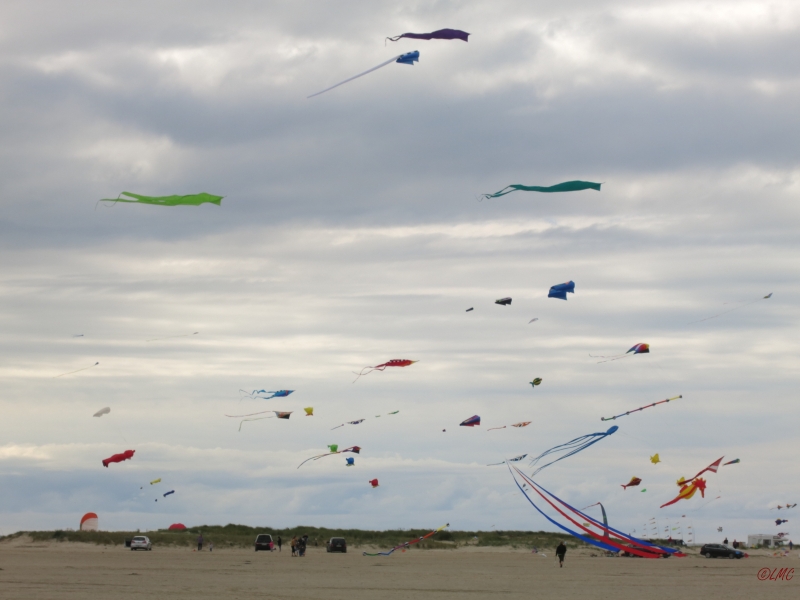 Roemoe_2014_017