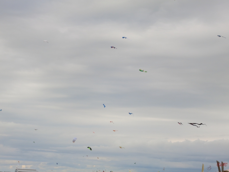 Roemoe_2014_020