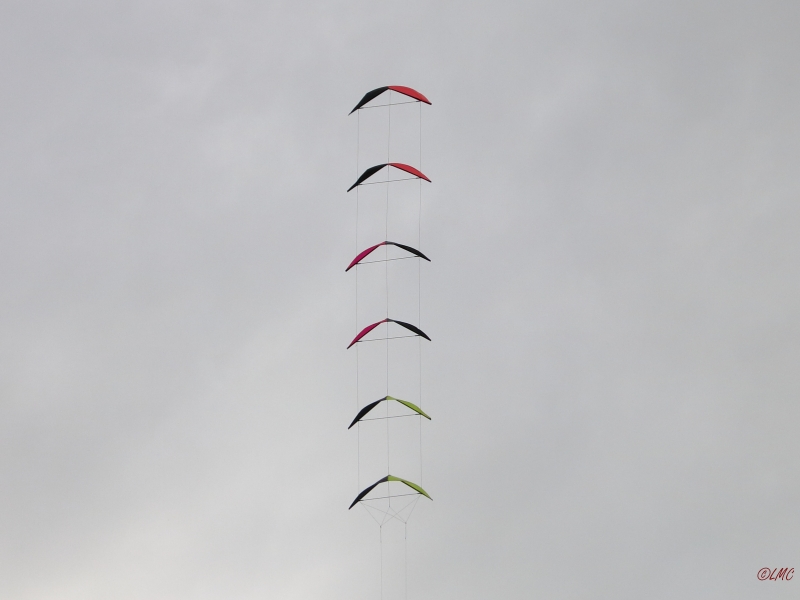 Roemoe_2014_025