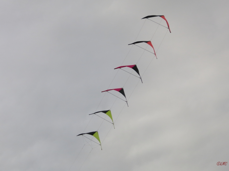 Roemoe_2014_026