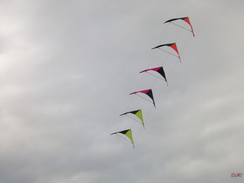 Roemoe_2014_027