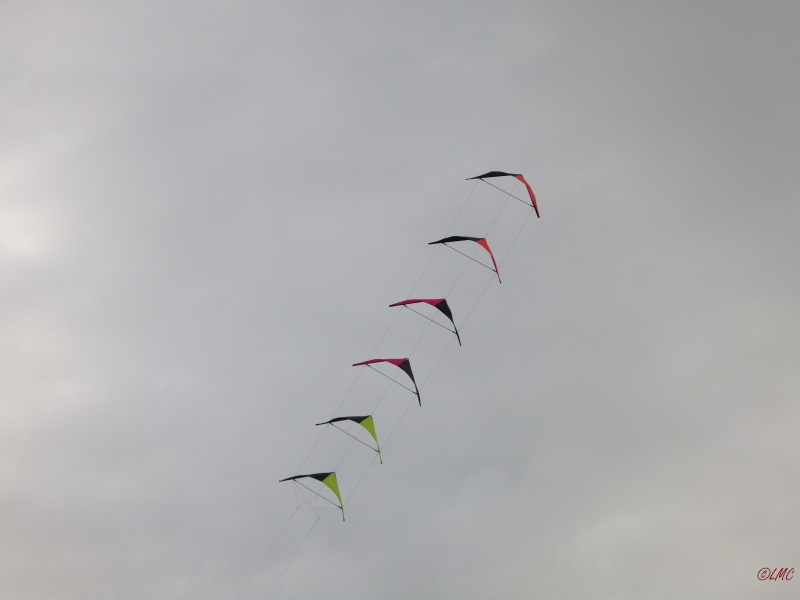 Roemoe_2014_029