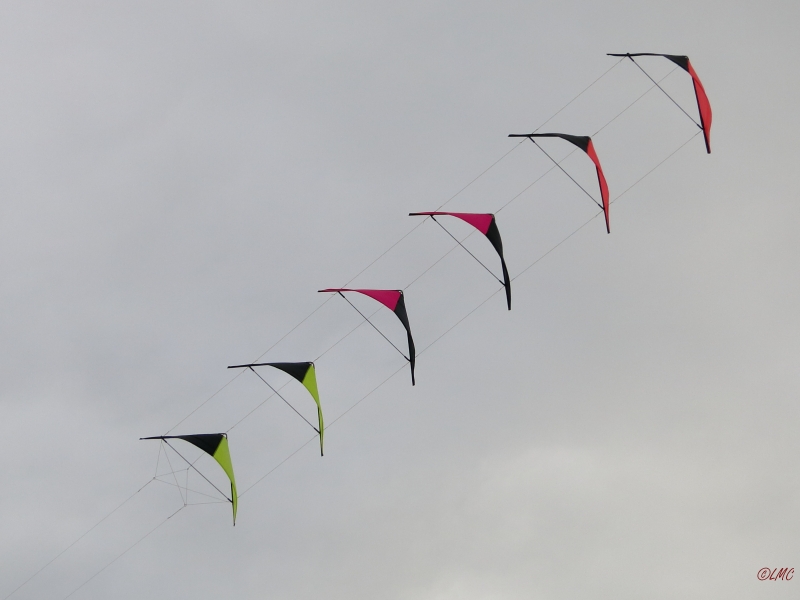 Roemoe_2014_030