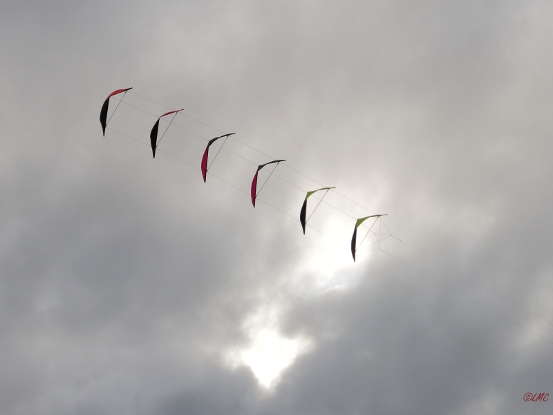 Roemoe_2014_031