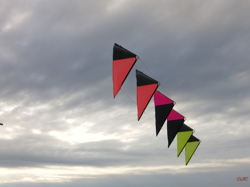 Roemoe_2014_032