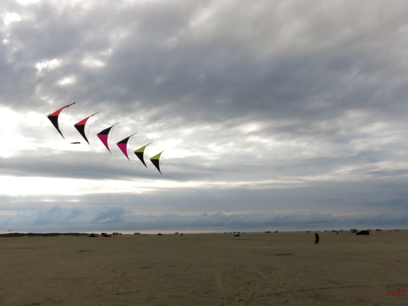 Roemoe_2014_033