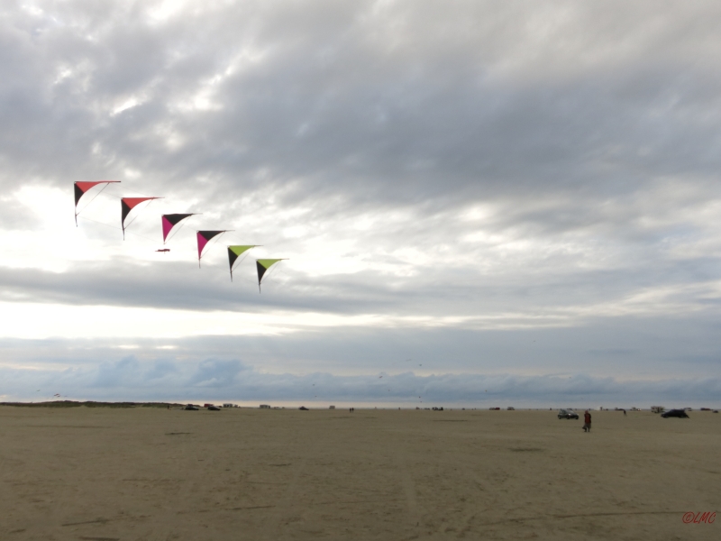 Roemoe_2014_036