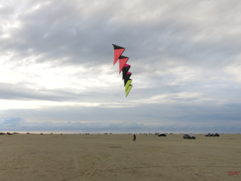 Roemoe_2014_039