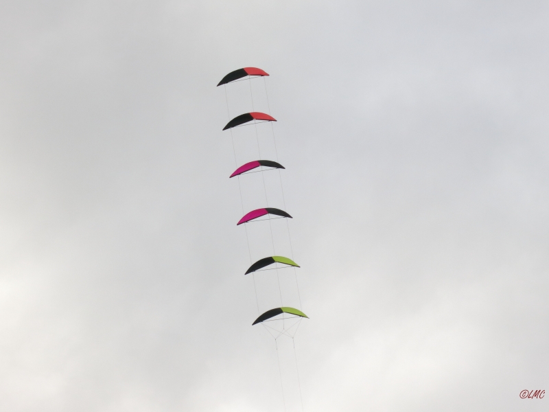 Roemoe_2014_042