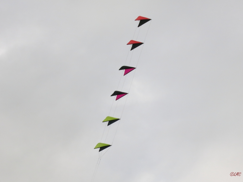 Roemoe_2014_043