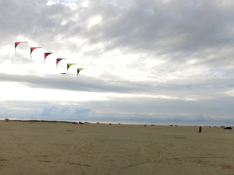 Roemoe_2014_044