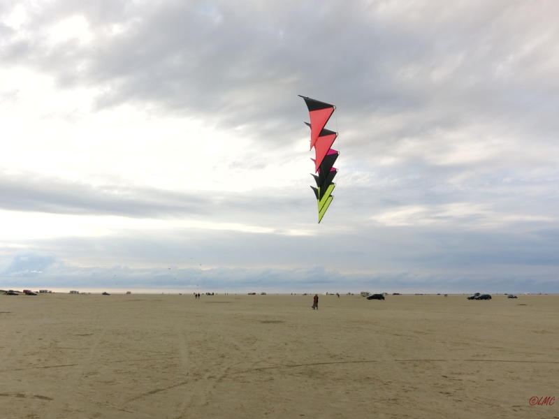 Roemoe_2014_045