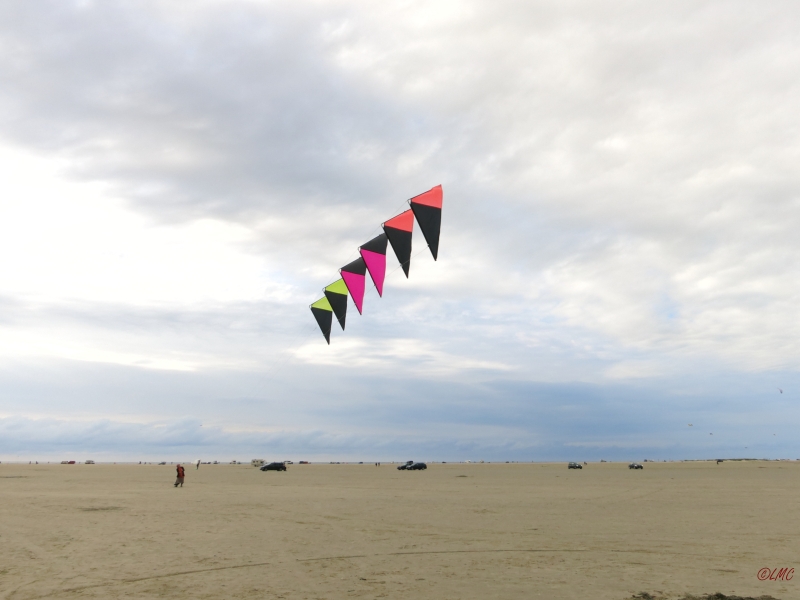 Roemoe_2014_046