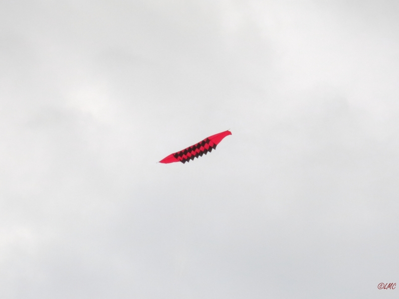 Roemoe_2014_047