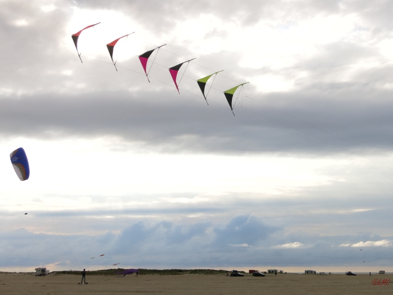 Roemoe_2014_051