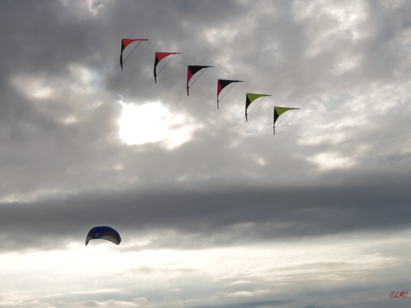 Roemoe_2014_052
