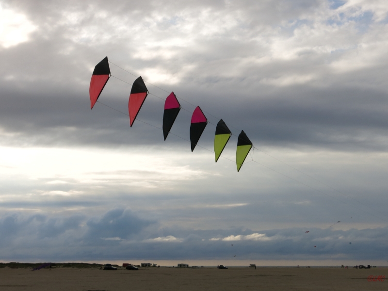 Roemoe_2014_053
