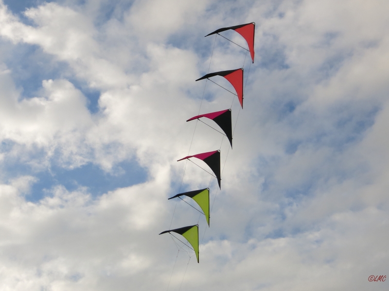 Roemoe_2014_058