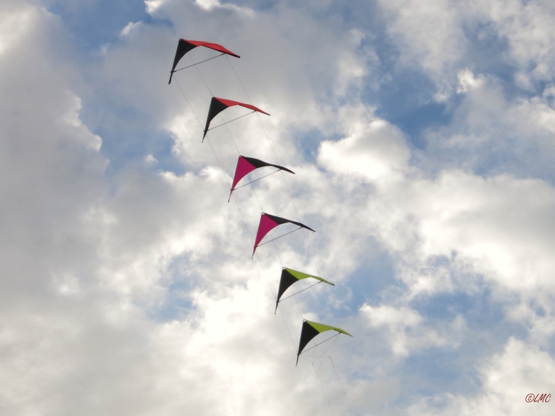 Roemoe_2014_061