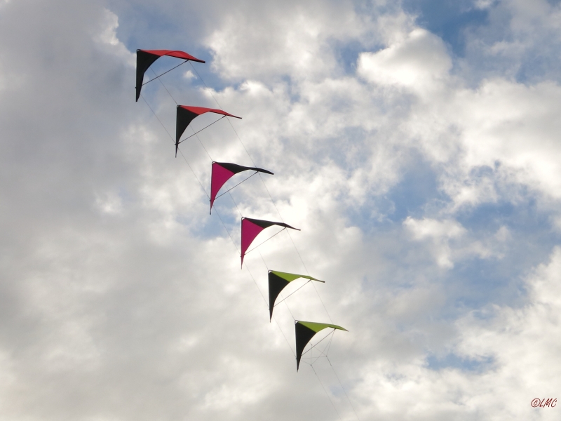 Roemoe_2014_062