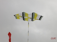 Roemoe_2014_003