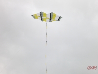 Roemoe_2014_004