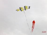 Roemoe_2014_005