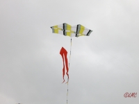 Roemoe_2014_006