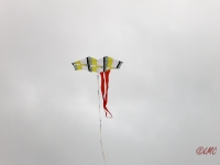 Roemoe_2014_007