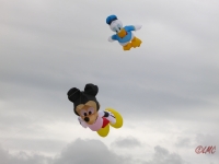 Roemoe_2014_013