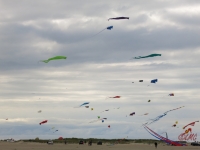 Roemoe_2014_016