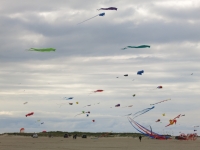 Roemoe_2014_017