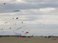 Roemoe_2014_018