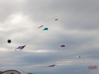Roemoe_2014_019