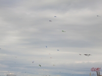 Roemoe_2014_020