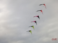 Roemoe_2014_027