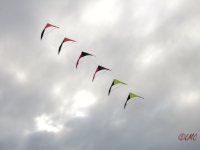 Roemoe_2014_028