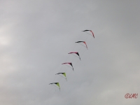 Roemoe_2014_029