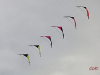 Roemoe_2014_030