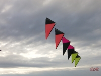 Roemoe_2014_032