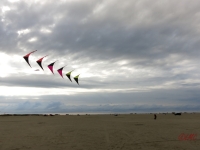 Roemoe_2014_033
