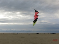 Roemoe_2014_034