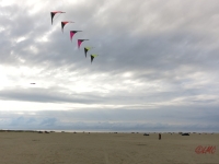 Roemoe_2014_035
