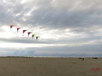 Roemoe_2014_036