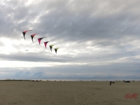 Roemoe_2014_037